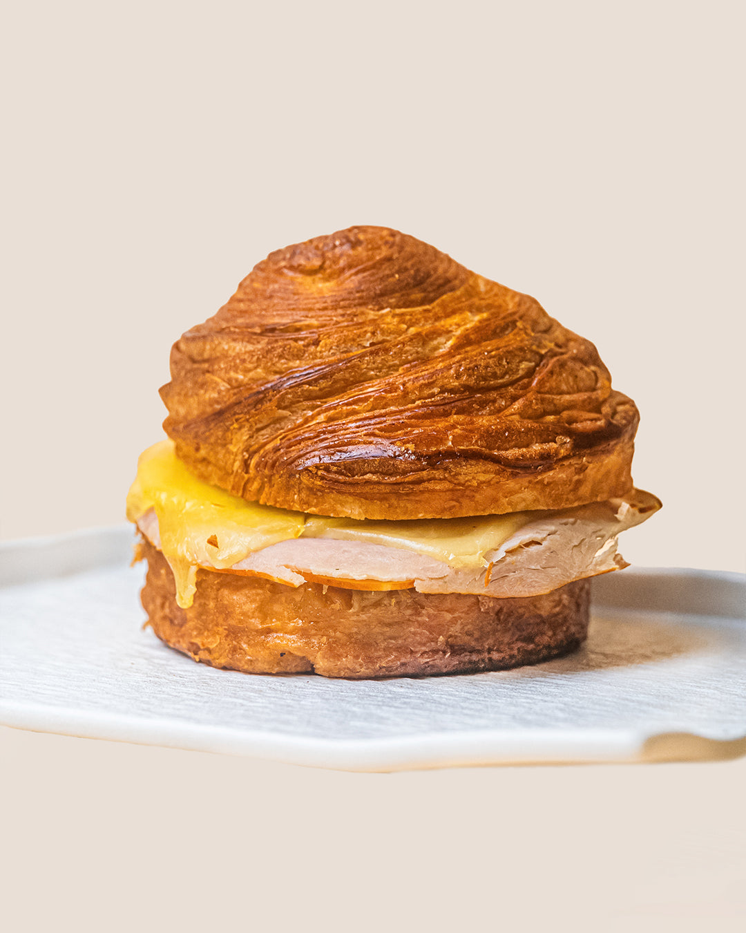 Smoked Turkey and Cheese